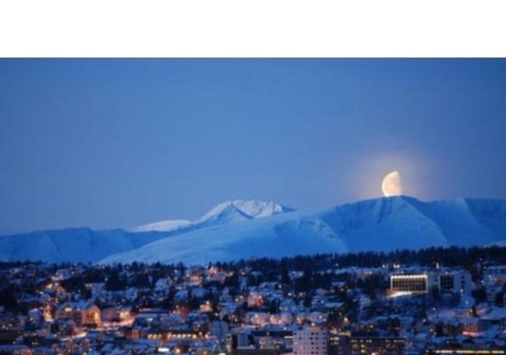 Polar Cozy Apartment - With View And Free Parking Tromsø Kültér fotó